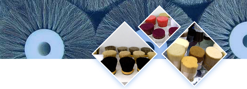 遠(yuǎn)建優(yōu)勢